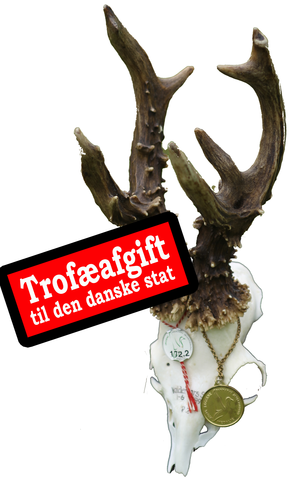 afgifttilstaten
