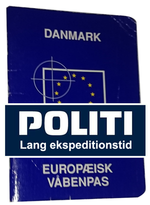eu vaabenpas copy