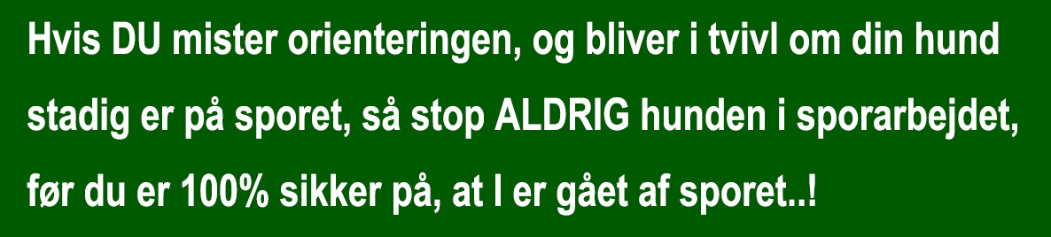 gaet af sporet