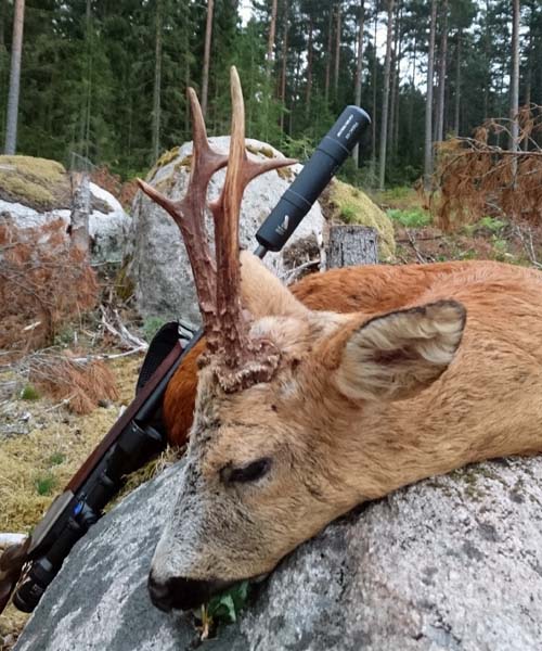 ld.buk.sverige.2015