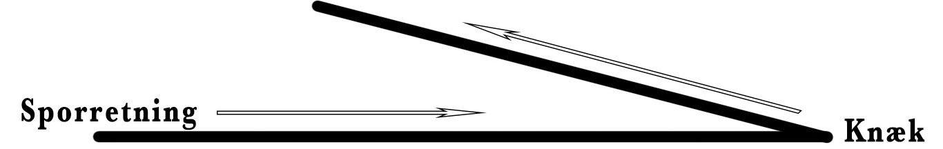 spidseknaek
