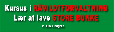 kursus raavildtforvaltning