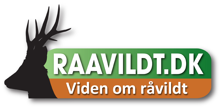 raavildt.dk viden om jagt logo kopi